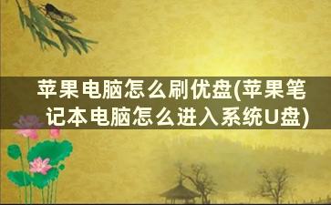 苹果电脑怎么刷优盘(苹果笔记本电脑怎么进入系统U盘)