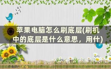 苹果电脑怎么刷底层(刷机中的底层是什么意思，用什)