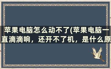 苹果电脑怎么动不了(苹果电脑一直滴滴响，还开不了机，是什么原因)