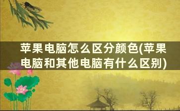 苹果电脑怎么区分颜色(苹果电脑和其他电脑有什么区别)