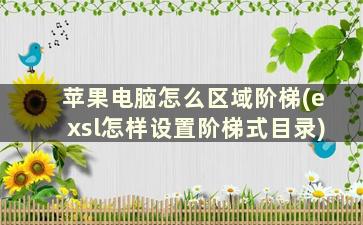 苹果电脑怎么区域阶梯(exsl怎样设置阶梯式目录)