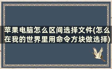 苹果电脑怎么区间选择文件(怎么在我的世界里用命令方块做选择)