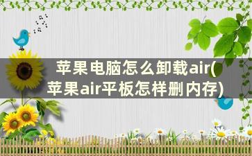 苹果电脑怎么卸载air(苹果air平板怎样删内存)