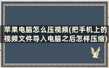 苹果电脑怎么压视频(把手机上的视频文件导入电脑之后怎样压缩)