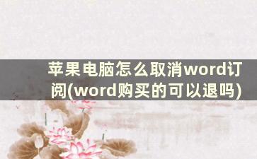 苹果电脑怎么取消word订阅(word购买的可以退吗)