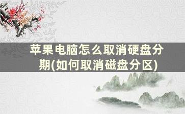 苹果电脑怎么取消硬盘分期(如何取消磁盘分区)