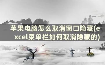 苹果电脑怎么取消窗口隐藏(excel菜单栏如何取消隐藏的)