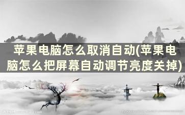 苹果电脑怎么取消自动(苹果电脑怎么把屏幕自动调节亮度关掉)