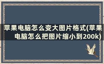 苹果电脑怎么变大图片格式(苹果电脑怎么把图片缩小到200k)