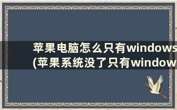 苹果电脑怎么只有windows(苹果系统没了只有windows怎么恢复)