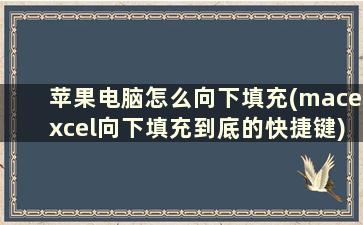 苹果电脑怎么向下填充(macexcel向下填充到底的快捷键)