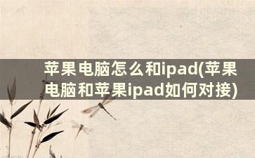 苹果电脑怎么和ipad(苹果电脑和苹果ipad如何对接)