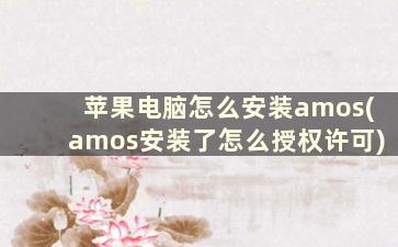 苹果电脑怎么安装amos(amos安装了怎么授权许可)