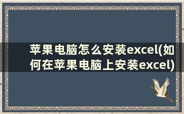 苹果电脑怎么安装excel(如何在苹果电脑上安装excel)