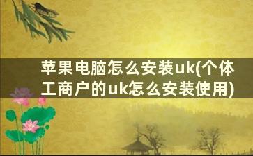 苹果电脑怎么安装uk(个体工商户的uk怎么安装使用)