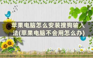 苹果电脑怎么安装搜狗输入法(苹果电脑不会用怎么办)