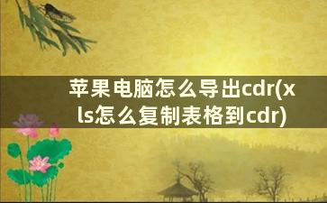 苹果电脑怎么导出cdr(xls怎么复制表格到cdr)