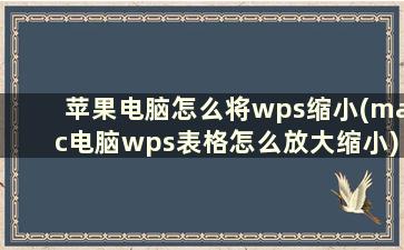 苹果电脑怎么将wps缩小(mac电脑wps表格怎么放大缩小)