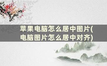 苹果电脑怎么居中图片(电脑图片怎么居中对齐)