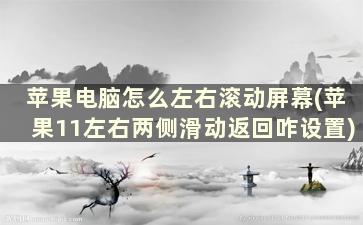 苹果电脑怎么左右滚动屏幕(苹果11左右两侧滑动返回咋设置)