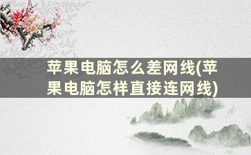 苹果电脑怎么差网线(苹果电脑怎样直接连网线)