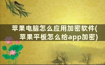 苹果电脑怎么应用加密软件(苹果平板怎么给app加密)