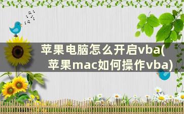 苹果电脑怎么开启vba(苹果mac如何操作vba)