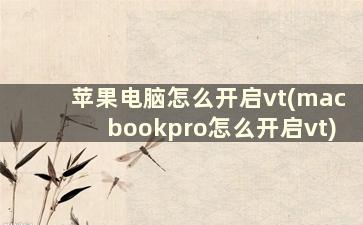 苹果电脑怎么开启vt(macbookpro怎么开启vt)