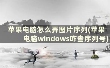 苹果电脑怎么弄图片序列(苹果电脑windows咋查序列号)