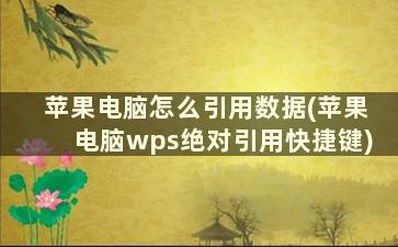 苹果电脑怎么引用数据(苹果电脑wps绝对引用快捷键)