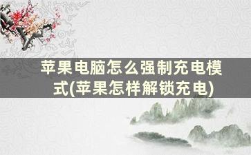 苹果电脑怎么强制充电模式(苹果怎样解锁充电)