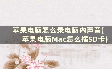 苹果电脑怎么录电脑内声音(苹果电脑Mac怎么插SD卡)