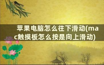 苹果电脑怎么往下滑动(mac触摸板怎么按是向上滑动)