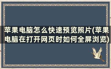 苹果电脑怎么快速预览照片(苹果电脑在打开网页时如何全屏浏览)