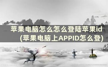 苹果电脑怎么怎么登陆苹果id(苹果电脑上APPID怎么登)