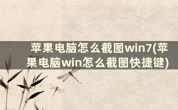 苹果电脑怎么截图win7(苹果电脑win怎么截图快捷键)