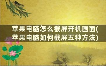 苹果电脑怎么截屏开机画面(苹果电脑如何截屏五种方法)