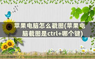 苹果电脑怎么戳图(苹果电脑截图是ctrl+哪个键)