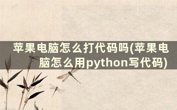 苹果电脑怎么打代码吗(苹果电脑怎么用python写代码)