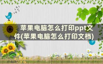 苹果电脑怎么打印ppt文件(苹果电脑怎么打印文档)