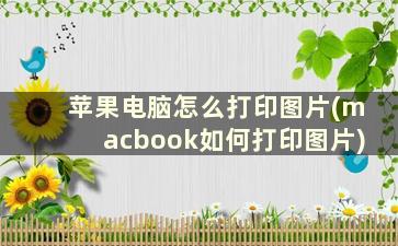 苹果电脑怎么打印图片(macbook如何打印图片)