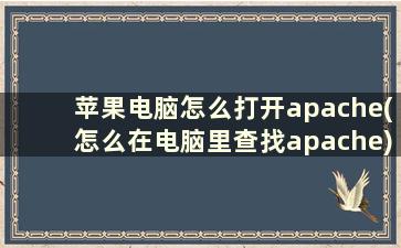 苹果电脑怎么打开apache(怎么在电脑里查找apache)