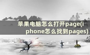 苹果电脑怎么打开page(iphone怎么找到pages)