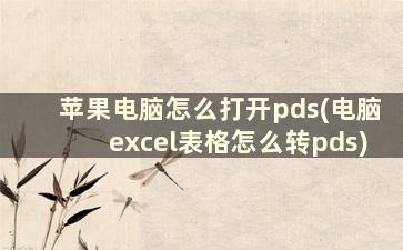 苹果电脑怎么打开pds(电脑excel表格怎么转pds)