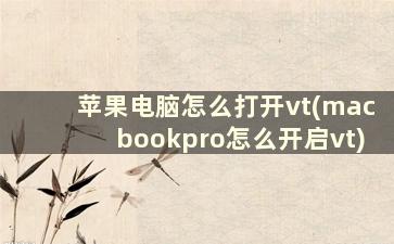 苹果电脑怎么打开vt(macbookpro怎么开启vt)