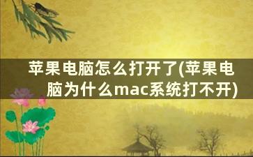 苹果电脑怎么打开了(苹果电脑为什么mac系统打不开)