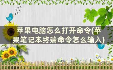 苹果电脑怎么打开命令(苹果笔记本终端命令怎么输入)