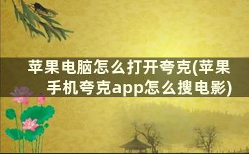 苹果电脑怎么打开夸克(苹果手机夸克app怎么搜电影)