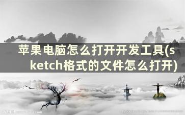 苹果电脑怎么打开开发工具(sketch格式的文件怎么打开)