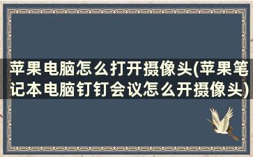 苹果电脑怎么打开摄像头(苹果笔记本电脑钉钉会议怎么开摄像头)